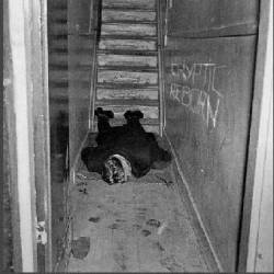 Cryptic Reborn : Demo 1